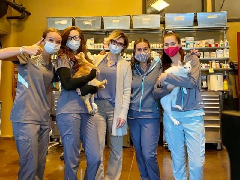 Park City Animal Clinic Vet Team