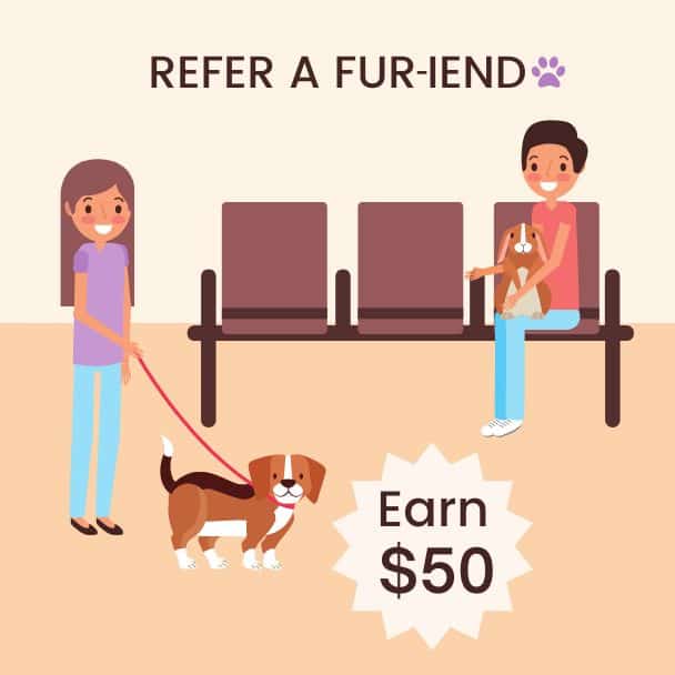 Refer a Fur-iend Poster